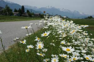 美しい、勝手ルート