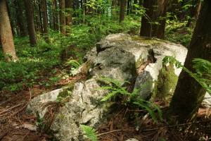 佐野坂峠：鬼石