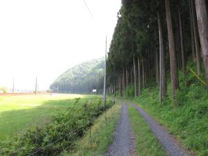 鯖波トンネルを出て湯尾に