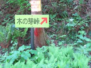 木ノ芽峠登り口