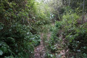 通行困難！２０号線を！