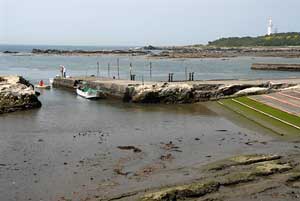 �����Ɍ�����̂��쓇�蓔��