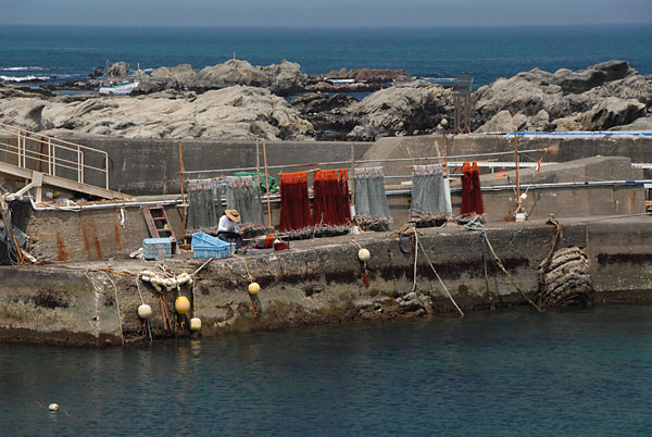 ���˂̋��`��