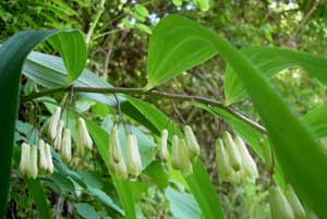 �A�}�h�R��