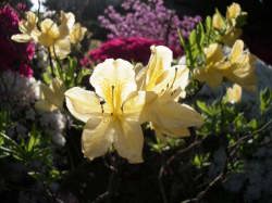 �������Q�c�c�W