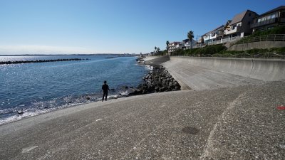 浸食と戦う野比海岸