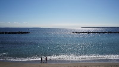 筑波大付属特別支援学校前