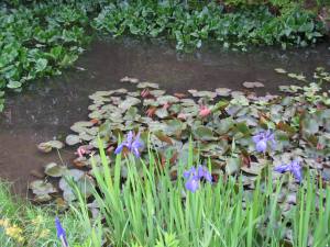 坂本立場をスタート