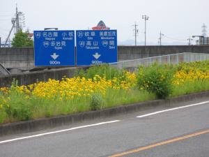 名古屋、小牧、高山、岐阜