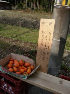 梓河内（あんさかわち）