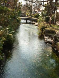 醒井宿の清流地蔵川