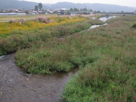 連城橋からの荒川