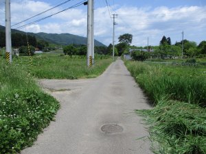 旧街道はのどかな裏道