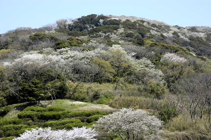 �哇�����Ɨt���т����|����q���̎R